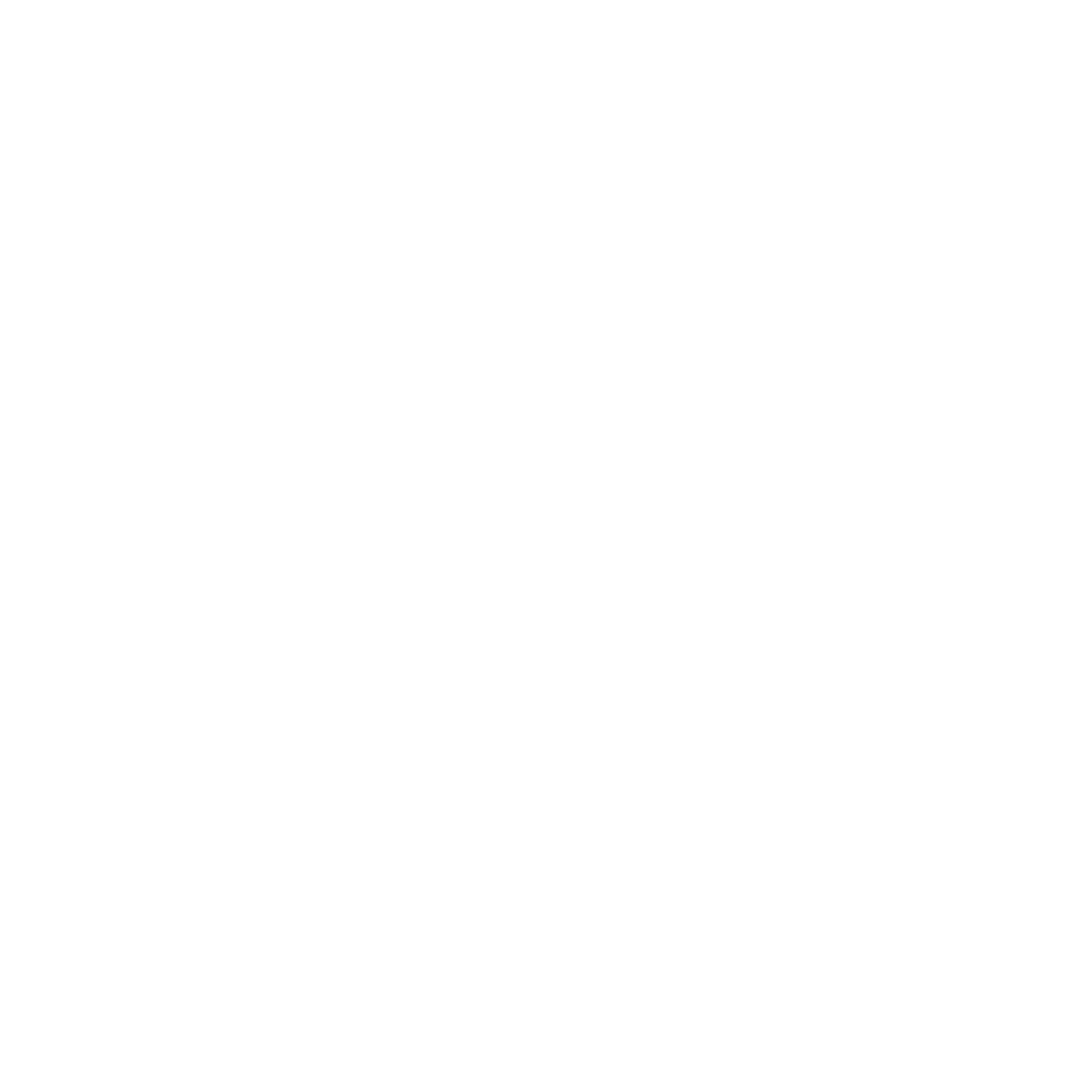 Open Mind Project logo invert