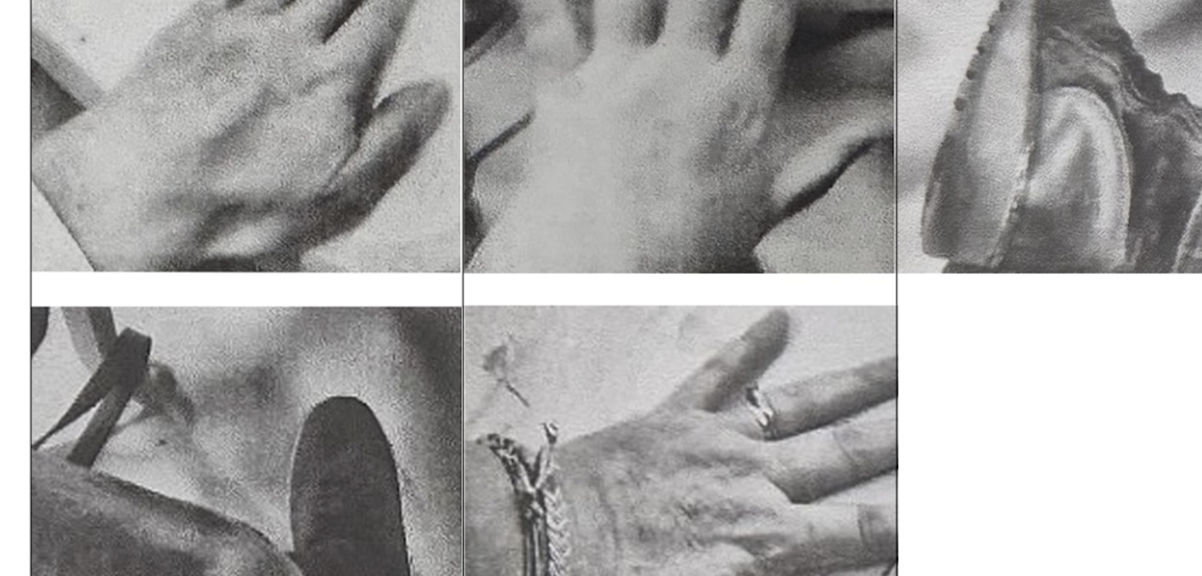 Echc Stills x ECHC Exhibition | Healing Arts Scotland